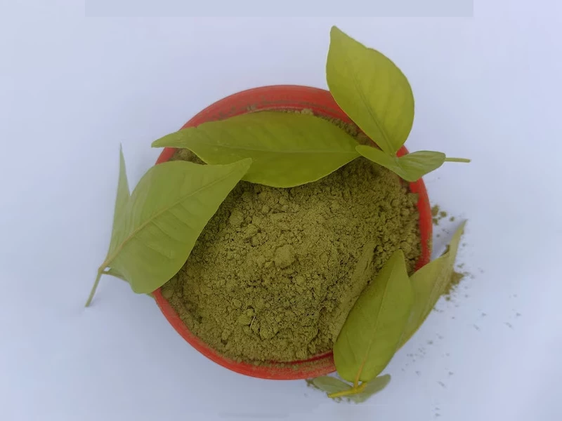 Belpatra Powder