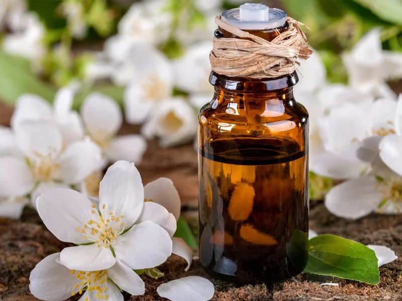 Jasmine Essential Oil