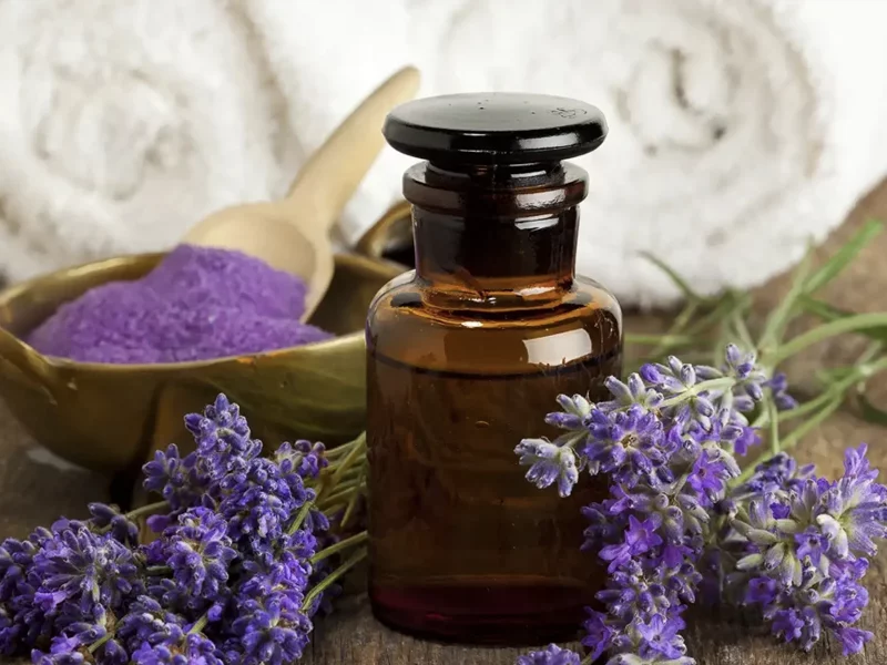 Lavender Essential Oil