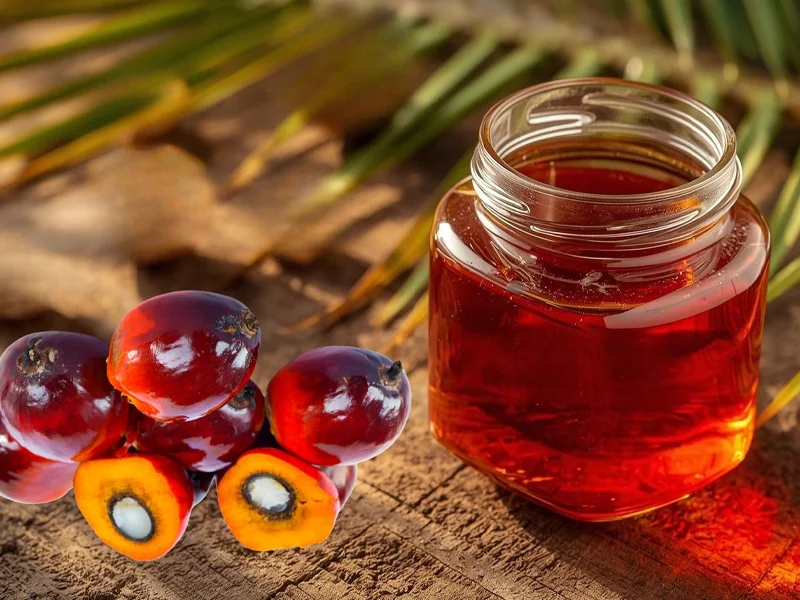 Palm Oil