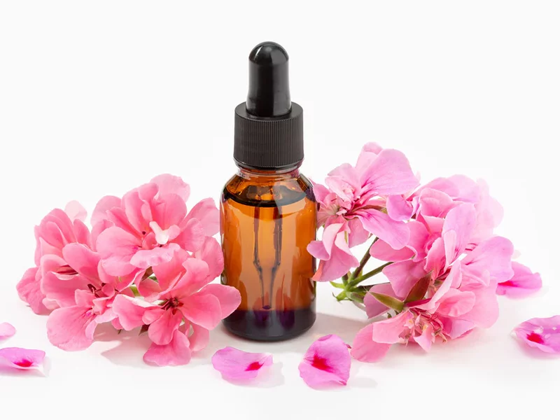 Rose Geranium Essential Oil
