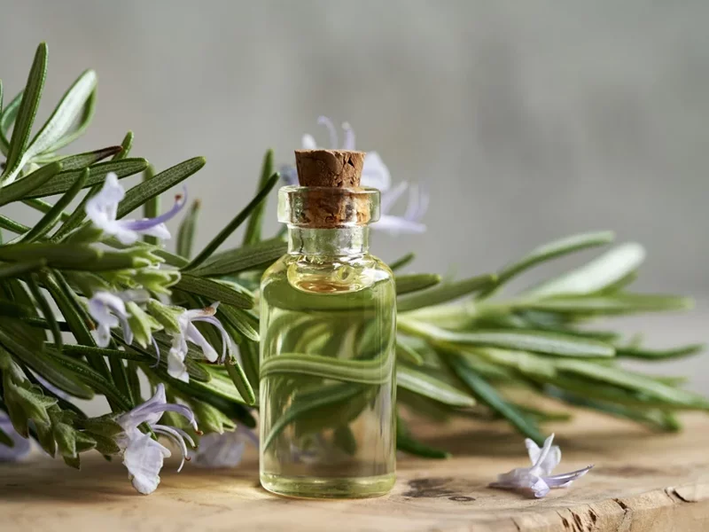 Rosemary Essential Oil