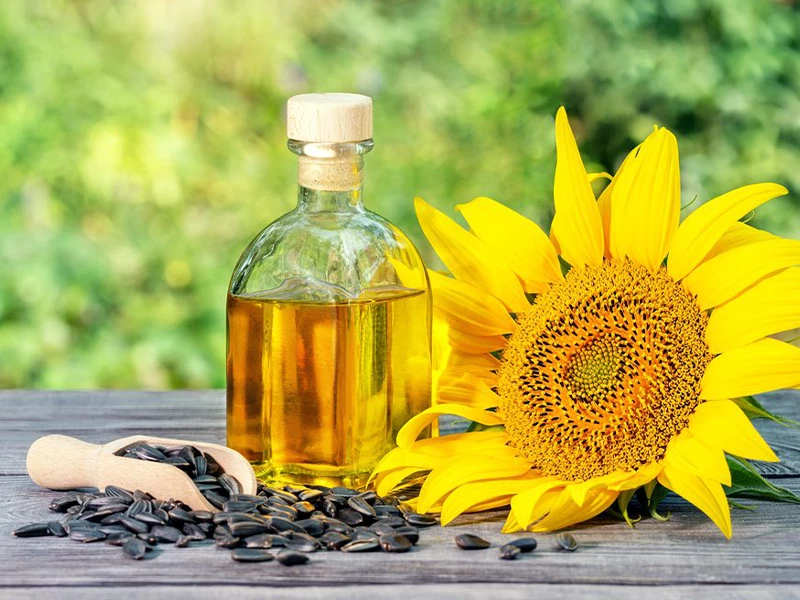 Sunflower Oil