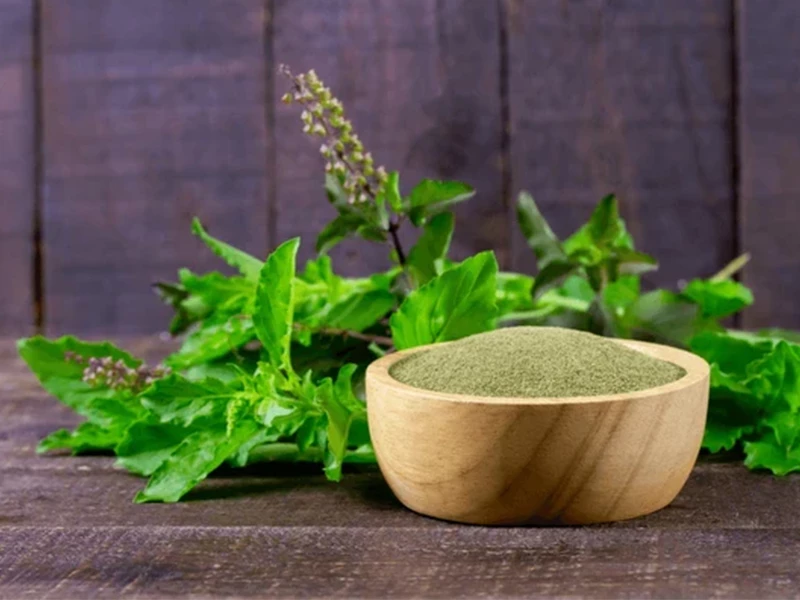 Tulsi Powder